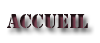 Accueil 